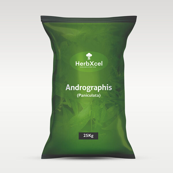 Andrographis (Andrographis paniculata)
