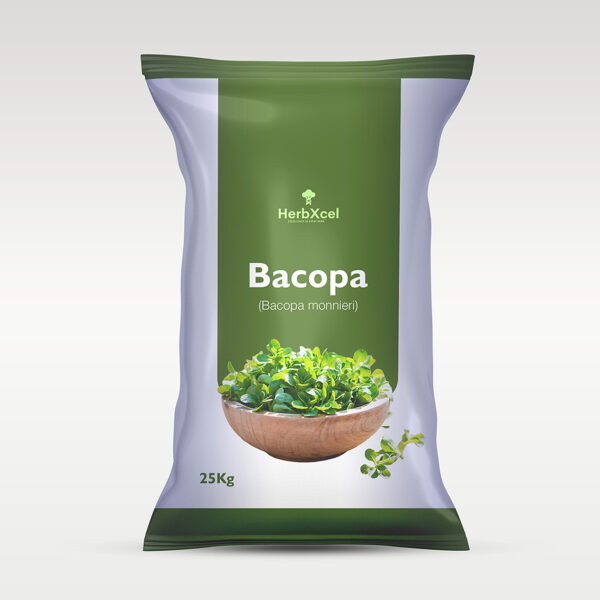 Bacopa (Bacopa monnieri)
