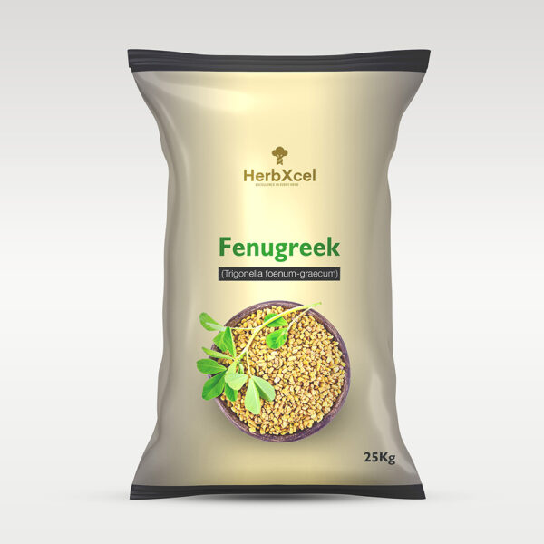 Fenugreek (Trigonella foenum-graecum)