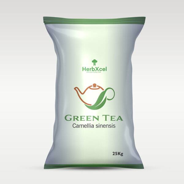 Green Tea (Camellia sinensis)