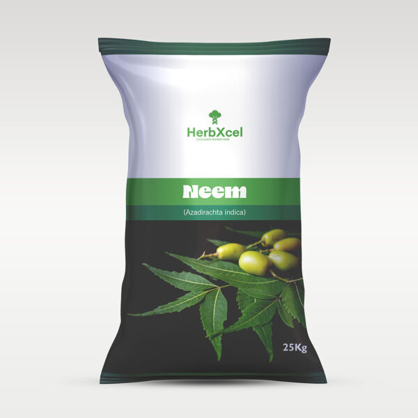 Neem (Azadirachta indica)