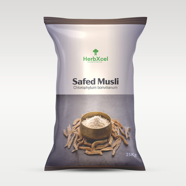 Safed Musli (Chlorophytum borivilianum)