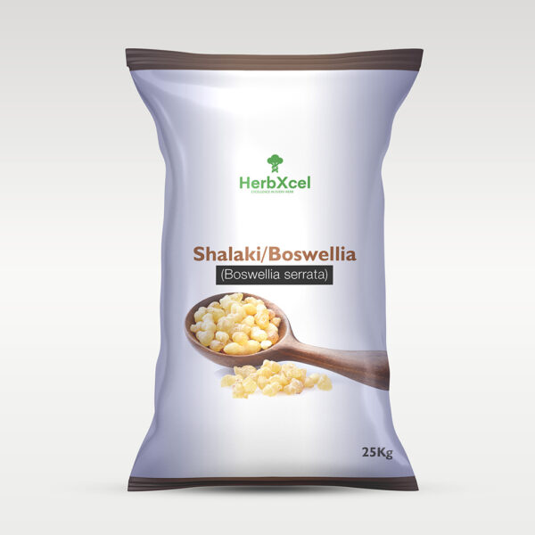 Shalaki / Boswellia (Boswellia serrata)