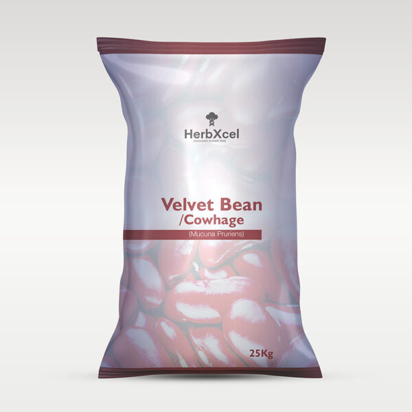 Velvet Bean/Cowhage (Mucuna Pruriens)
