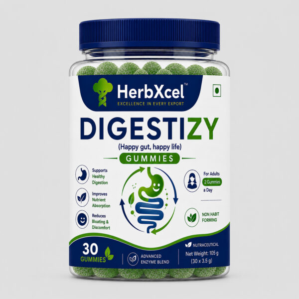 DIGESTIZY