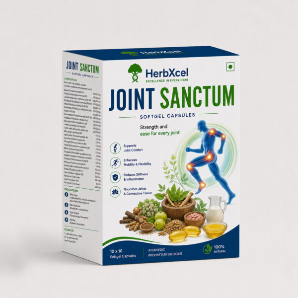 JOINT SANCTUM